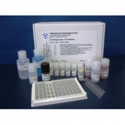 ELISA FOOD DEOXYNIVALENOL Kit rapido per la determinazione di DEOSSINIVALENOLO In piastre a 96 pozzetti DON-E01